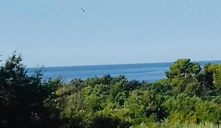 Apartment Ivana,Mali Maj Poreč Eksteriør bilde